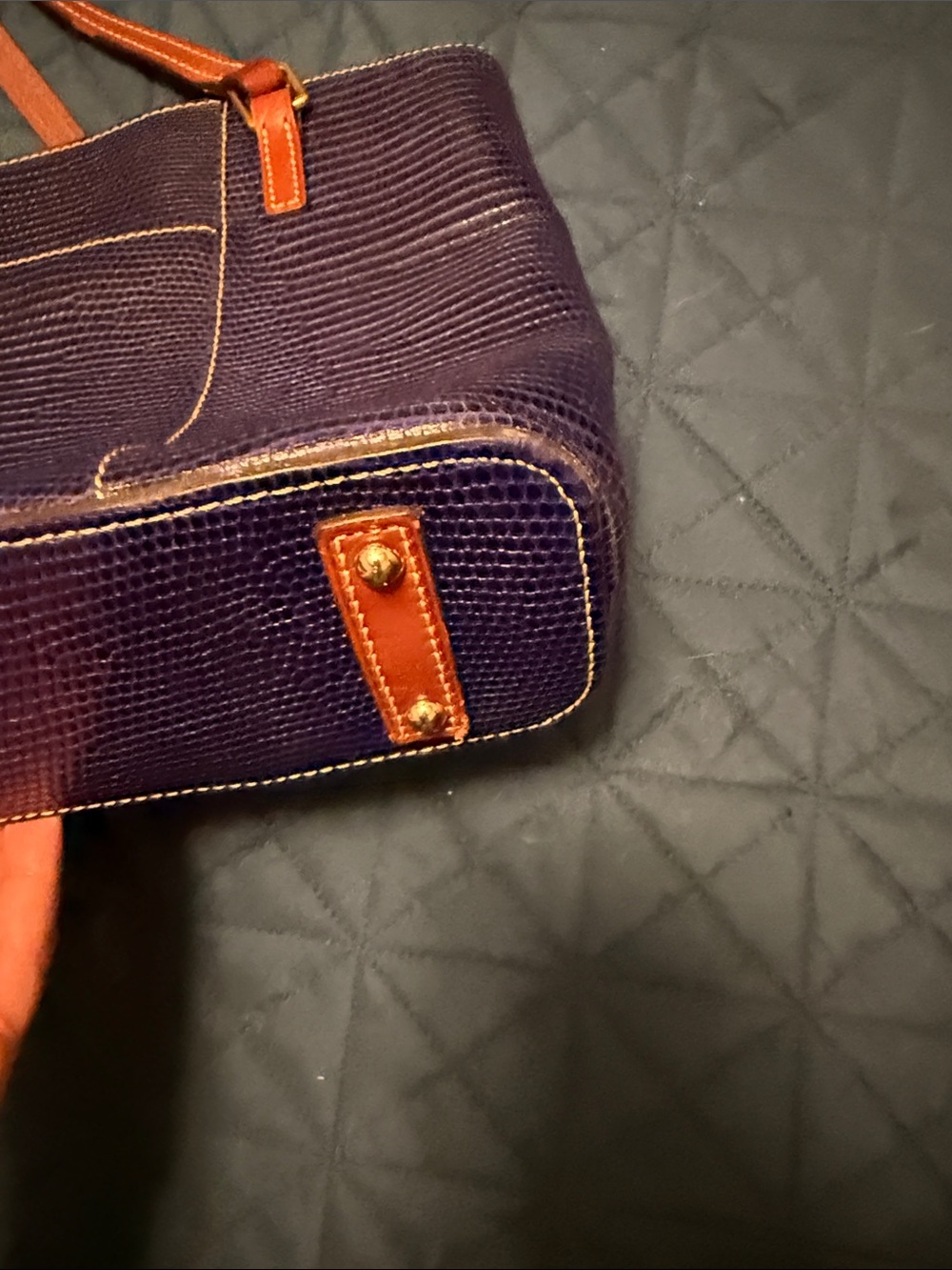 Dooney & Bourke blue Lizard-Embossed Tote with Brown Straps - Picture 13 of 14